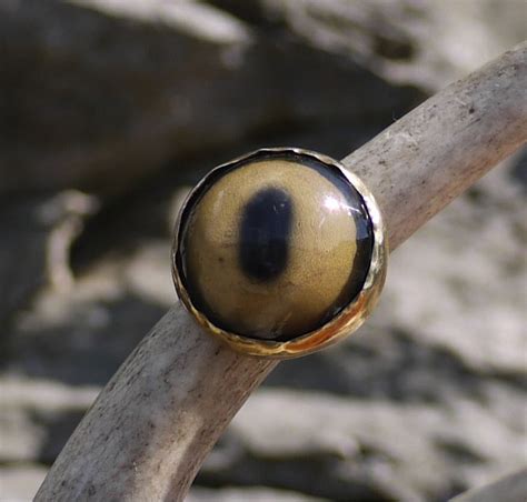 Goat Eye Ring .